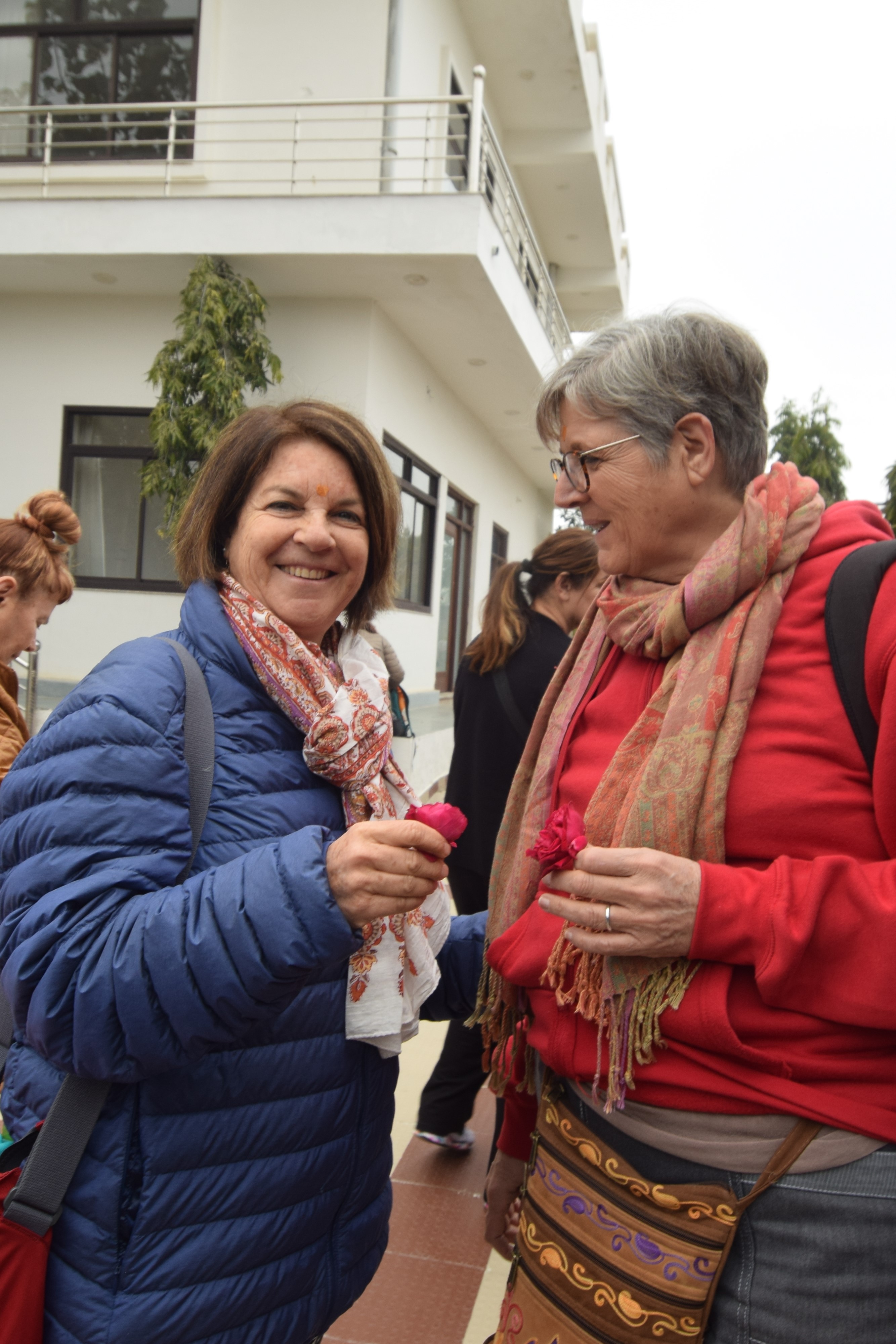 Tall portrait image showing a serene yoga pose.